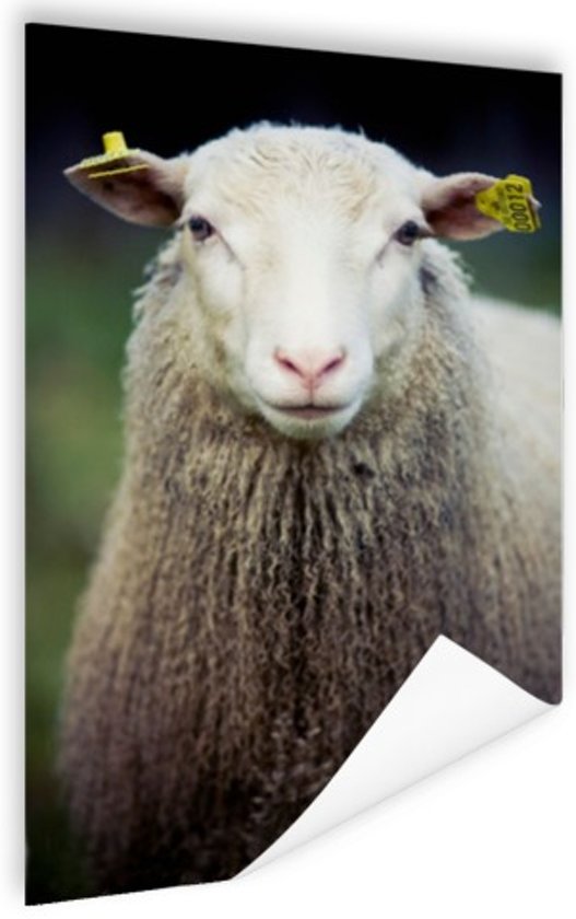 Toon details van  A2 poster